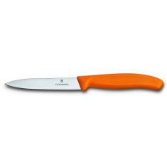 Кухонный нож Victorinox 6.7706.L119, 10 см